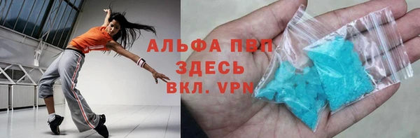 хмурый Алексин