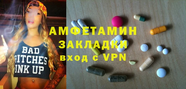 хмурый Алексин