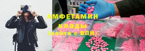 хмурый Алексин
